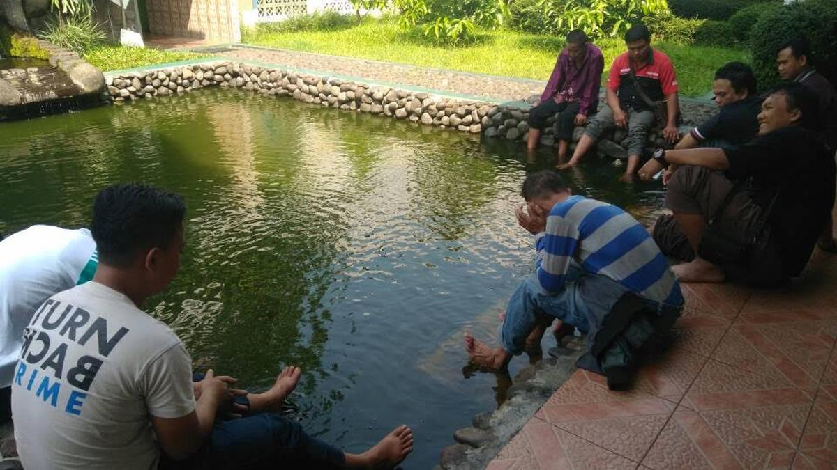 Rasakan Santai dengan Terapi Ikan di Caffe Pelangi Cilacap