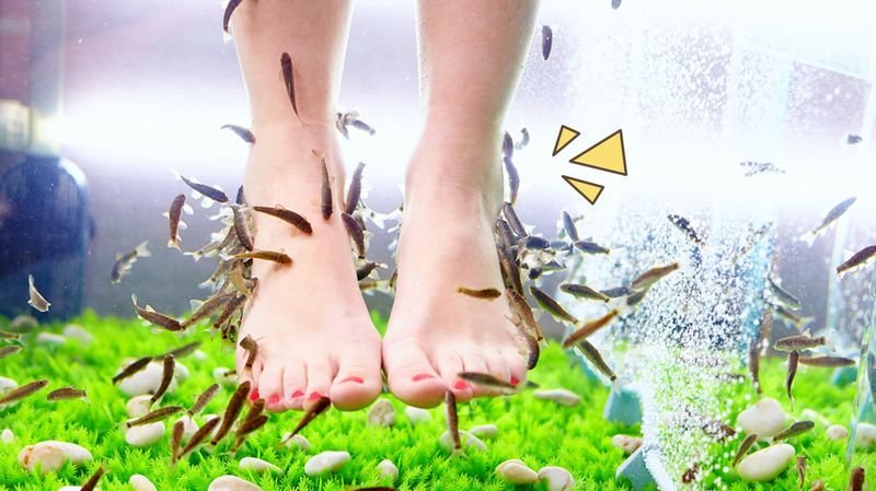 Menggagas Rasa dengan Terapi Ikan di Tengah Kota Cilacap